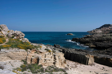 Fototapeta na wymiar Felsenküste und Strand auf Mallorca