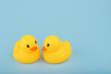 yellow rubber ducks on blue background