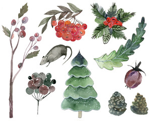 .watercolor Christmas set of berries, Christmas trees, branches for cards with a rat and Christmas elements on a white background