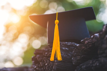 Black graduates hat and yellow tassels pasted on old wood