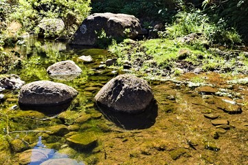Fototapeta na wymiar Stones in the pond with fishes (Madeira, Portugal)