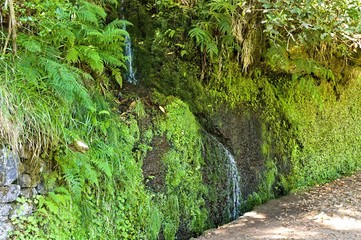 Isolated little cascade in a "levada". "Levadas" are typical handmade drainage channel in Madeira (Portugal, Europe)