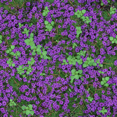 Seamless texture of purple Verbena Quartz flowers with green leaves. Como. Italy.