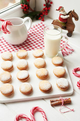 Christmas cookies, milk, cocoa, marshmallows, meringues on a white background by the window