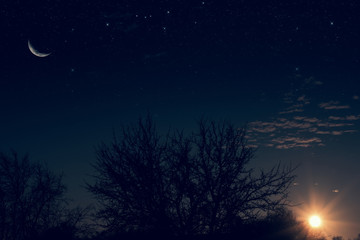 night landscape