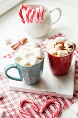 Christmas cookies, milk, cocoa, marshmallows, candies on a white plate by the window