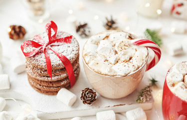 Christmas cookies, milk, cocoa, marshmallows, candies on a white plate by the window