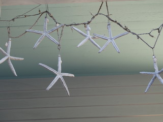 White Starfish Decorations