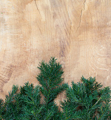 copy space, oak background, wooden table with fir green, winter, background