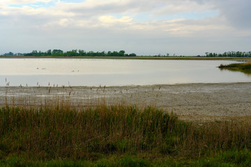 Unwetter über der Langen Lacke und der Wörthenlacke bei Apetlon im Nationalpark Neusiedler See, Burgenland, Österreich