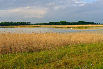 Unwetter &uuml;ber der Langen Lacke und der W&ouml;rthenlacke bei Apetlon im Nationalpark Neusiedler See, Burgenland, &Ouml;sterreich