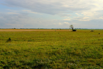 Unwetter über der Langen Lacke und der Wörthenlacke bei Apetlon im Nationalpark Neusiedler See, Burgenland, Österreich