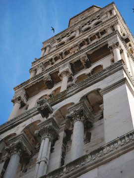 Spalato campanile con rondone