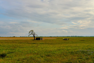 Fototapeta premium Unwetter über der Langen Lacke und der Wörthenlacke bei Apetlon im Nationalpark Neusiedler See, Burgenland, Österreich