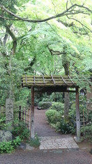 Japanese garden, Kyoto Japan, Ryokans tour, Kyoto tour