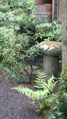 Japanese garden, Kyoto Japan, Ryokans tour, Kyoto tour