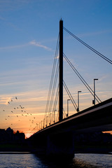 Sonnenuntergang an der Oberkasseler Brücke, Düsseldorf