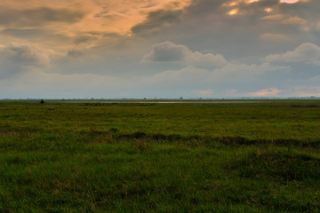 Unwetter &uuml;ber der Langen Lacke und der W&ouml;rthenlacke bei Apetlon im Nationalpark Neusiedler See, Burgenland, &Ouml;sterreich