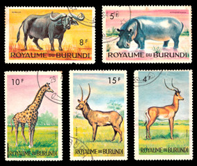 A series of postage stamps printed in Burundi , that depict wild animal of Africa