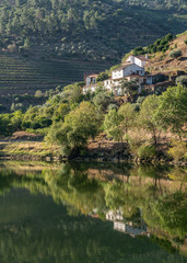 Fototapeta na wymiar Whitewashed old Quinta or vineyard building on the banks of the River Douro in Portugal near Pinhao