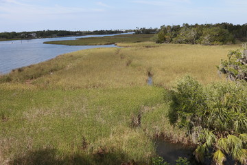 Fototapeta na wymiar Salt marsh wetlands in Crystal River National Wildlife Refuge, Florida