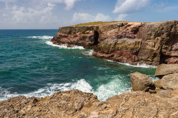 Savanna of Petrifications in Martinique