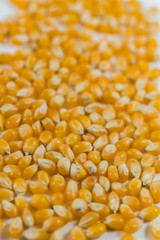 Pop Corn Kernels-6
