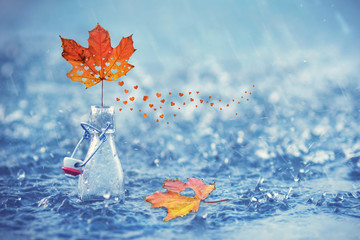 wir lieben den Herbst
