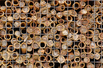 Insektenhotel / Insektenhaus - Insect hotel / insect house