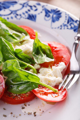 salad of fresh tomatoes, young cheese and fresh spinach.