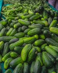 A pile of bright green cucumbers.