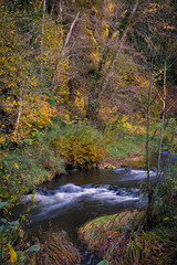 Sylvia Creek With Autumn Colors In Washington State