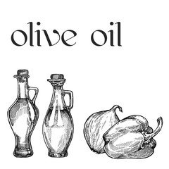 Vegetable oil assorted bottles set. Olive, sunflower, soybean vector illustration.