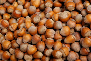 tasty and wholesome hazelnuts close up