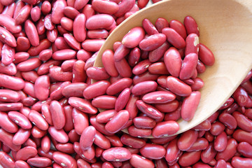 red bean with organic concept