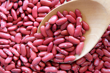 red bean with organic concept