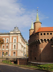 Fototapeta premium old building of Academy of Fine Arts in Krakow
