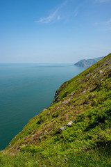 Steep cliffs with flowers growing amongst the rocks, Lynton, North Devon near the Valley of the Rocks