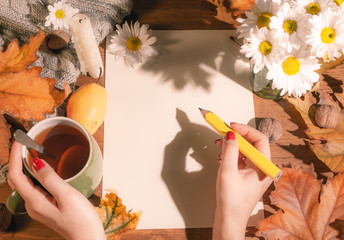 Top view of female hands holding a pencil and autumn dry leaves Mockup clipboard with a blank sheet of white paper. Creative template for inscribing your plans.