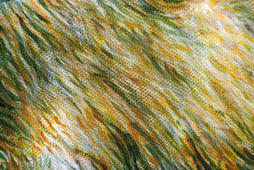 Colorful oil painting abstract background and texture.
