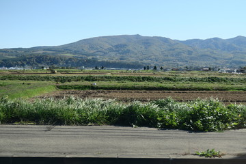 秋の日本国北海道の田舎の畑