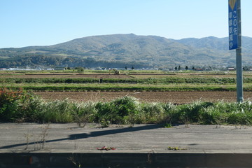 秋の日本国北海道の田舎の畑