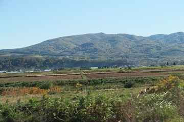 秋の日本国北海道の田舎の畑