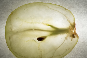 Thin slice cross section of a grape with seeds