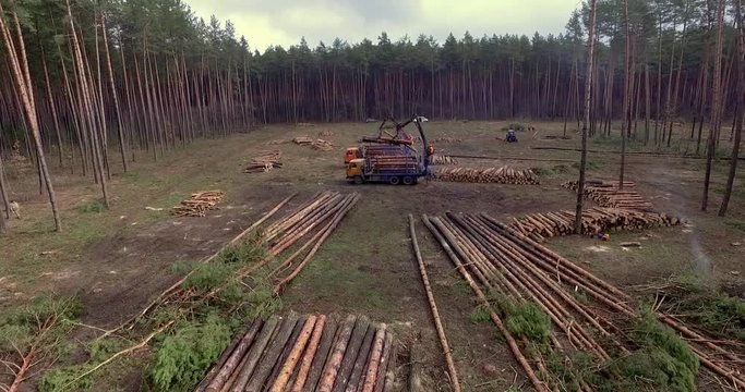 Work process on the sawmill aerial view, modern sawmill view from the top. Active work in the yard sawmill