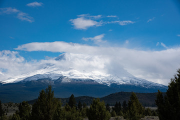 Fototapeta premium Mount Shasta