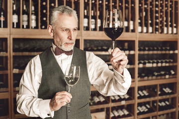 Sommelier Concept. Senior man standing with glasses of white and red wine checking clarity