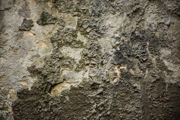 Beautiful vintage background. Abstract grunge decorative stucco wall texture. Wide rough background with copy space for text. Описание (на английском языке)