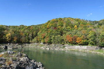 Fototapeta na wymiar 日本国北海道の秋の紅葉の山と川