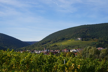Panoramablick bei Sonnenschein auf das Weindorf St. Martin an der Südlichen Weintrasse